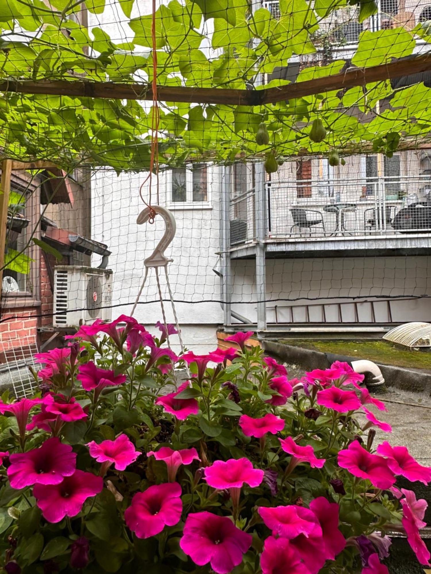 Im Herzen Der Historischen Altstadt Appartement